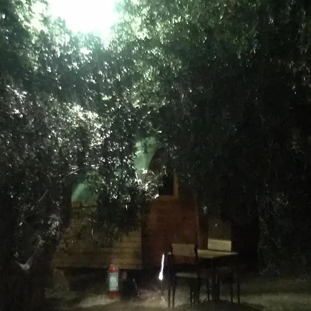 Baraka No:on * Canakkale