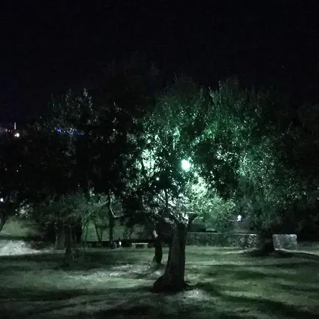 Baraka No:on Canakkale